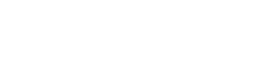 Vaidio